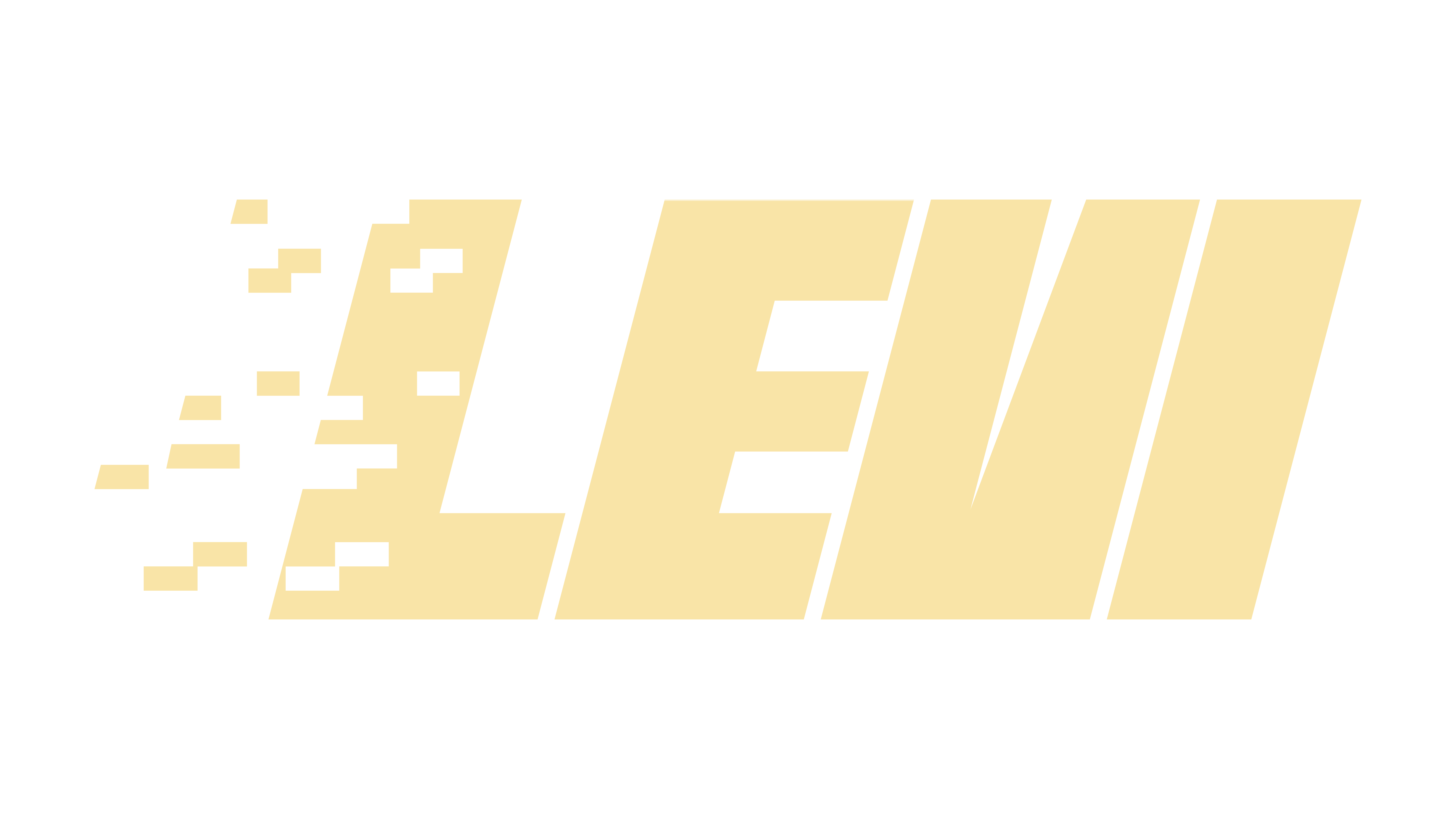 LEVI S.A.S.
